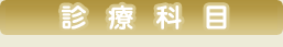 診療内容